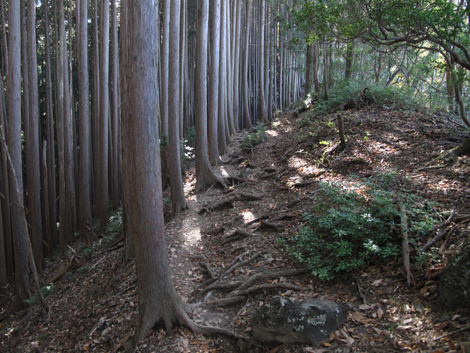 20181115hike (122)